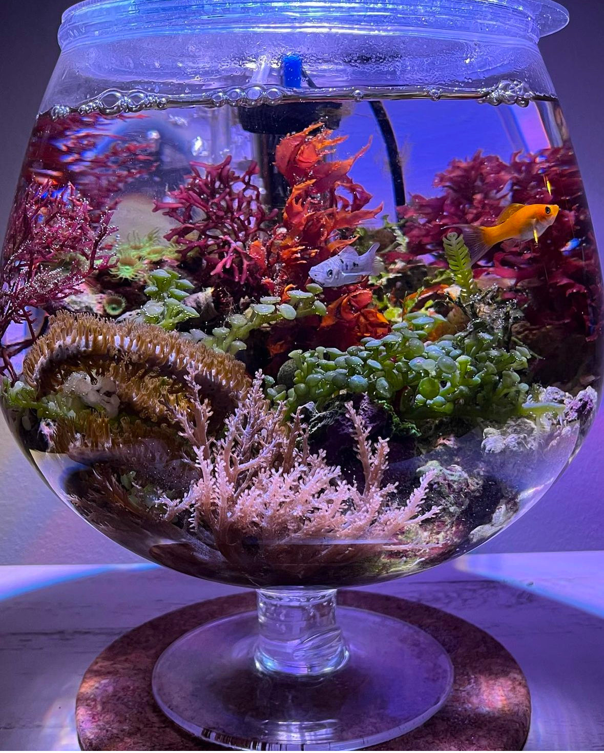 DIY Vase Kit
