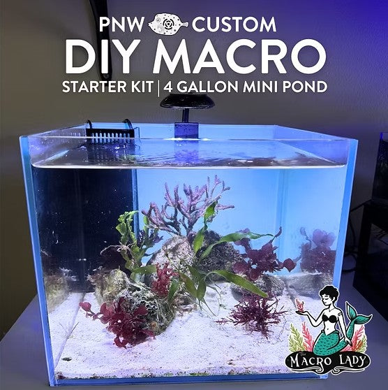DIY Macro Starter Kit