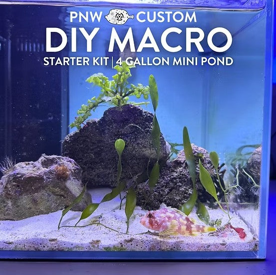 DIY Macro Starter Kit